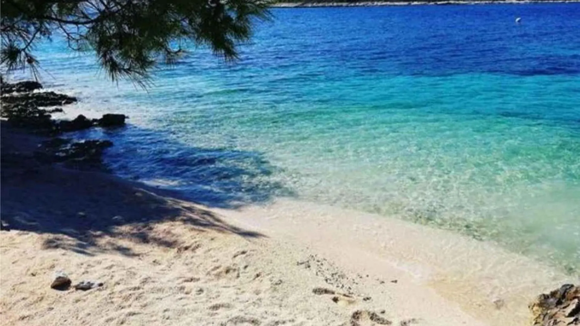 Augustina Apartments Ρόβινι Κροατία
