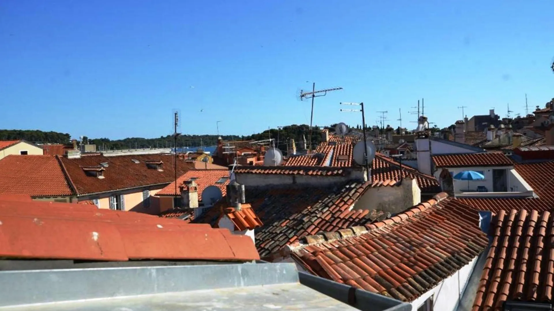 Augustina Apartments Ρόβινι