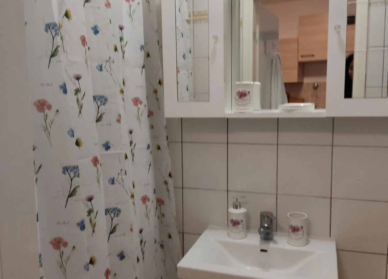 Augustina Apartments Ρόβινι